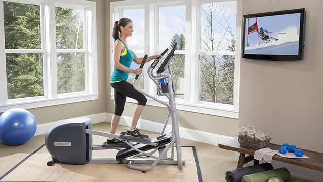 Precor EFX 222 Energy Series Elliptical Cross Trainer | $1,995 | Amazon